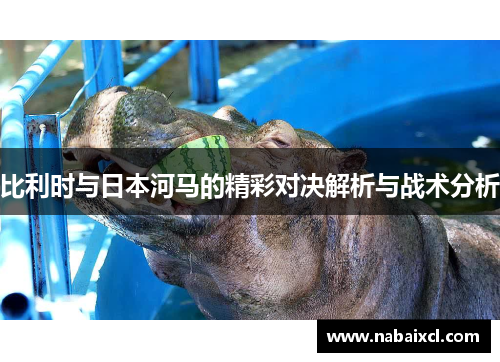 比利时与日本河马的精彩对决解析与战术分析